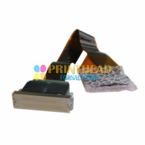Ricoh GEN5 Water Printhead (Cable: 850mm) - MH5421