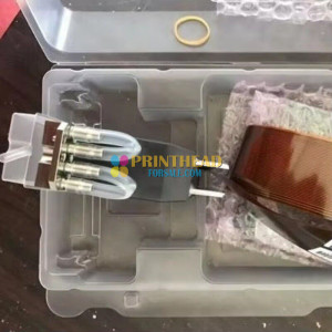 Ricoh GEN4L 27PL Printhead (Long Cable) - MH2820