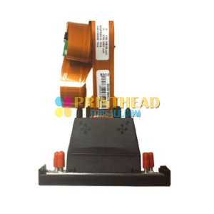 Ricoh GEN4L 15PL Printhead (Hose barb) - MH2620