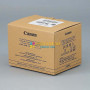 Canon Print Head PF-10 0861C003AA 0861C001 JAPAN ImagePROGRAF Pro Series Large
