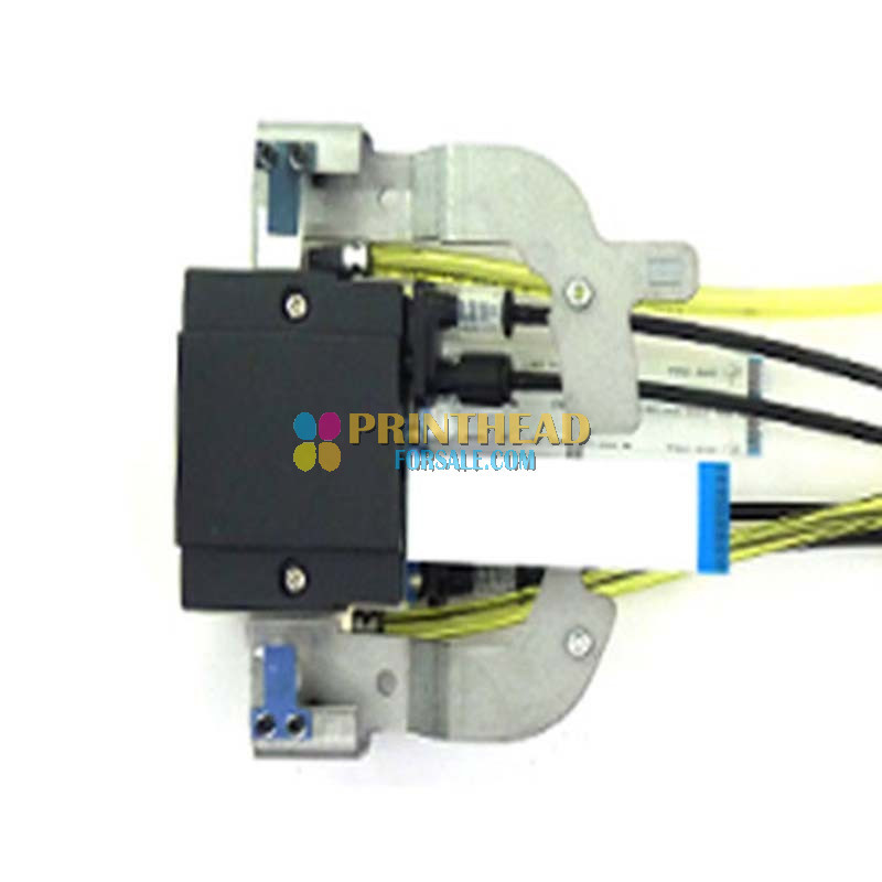 Testina Di Stampa Originale Toshiba TEC B-EX4T1 - 300 Dpi, Codice OTSBC0117201F | Ricambio Originale